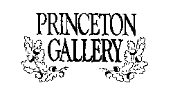 PRINCETON GALLERY