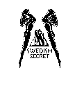 SS SWEDISH SECRET