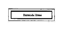 BERMUDA GRASS