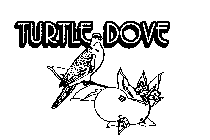 TURTLE DOVE