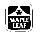 MAPLE LEAF