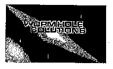 WORM HOLE SOLUTIONS