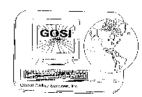 GOSI GLOBAL ONLINE SERVICES, INC.