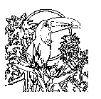 Image Trademark
