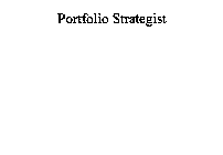 PORTFOLIO STRATEGIST
