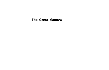 THE CAMO CAMERA
