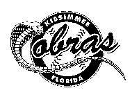 KISSIMMEE COBRAS FLORIDA
