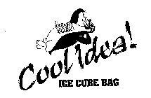COOL IDEA! ICE CUBE BAG