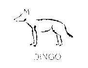 DINGO