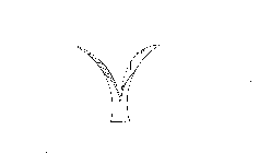Image Trademark