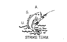 U.S.A. STRIKE TEAM.