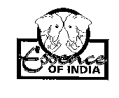 ESSENCE OF INDIA
