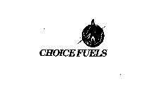 CHOICE FUELS NATURAL ENERGY THE CLEAN TEAM