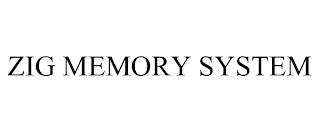 ZIG MEMORY SYSTEM
