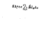 SKATE 2 BLADE