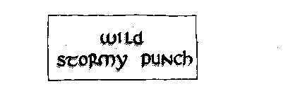 WILD STORMY PUNCH