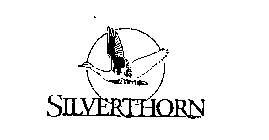 SILVERTHORN