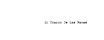 EL CHARCO DE LAS RANAS