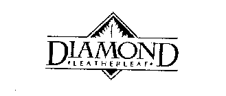 DIAMOND LEATHERLEAF