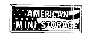 AMERICAN MINI STORAGE