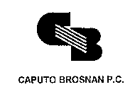 CB CAPUTO BROSNAN P.C.
