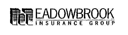MEADOWBROOK INSURANCE GROUP