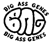 BIG ASS GENES BAG