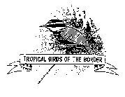 TROPICAL BIRDS OF THE BORDER