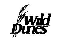 WILD DUNES