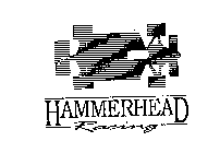 HAMMERHEAD RACING