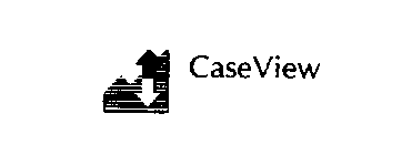 CASEVIEW