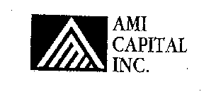 AMI CAPITAL INC.