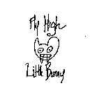 FLY HIGH LITTLE BUNNY