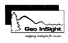 GEO INSIGHT MAPPING STRATEGIES FOR SUCCESS