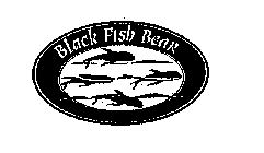 BLACK FISH BEAR