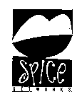 SPICE NETWORKS