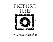 PICTURE THIS BY BRUCE FLEISCHER