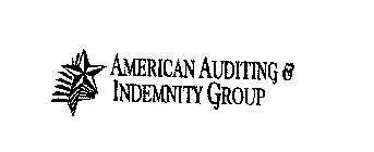 AMERICAN AUDITING & INDEMNITY GROUP