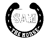 SAM THE HORSE