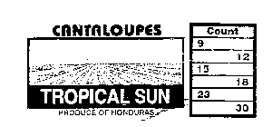 TROPICAL SUN CANTALOUPES PRODUCE OF HONDURAS COUNT 9 12 15 18 23 30