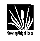 GROWING BRIGHT IDEAS
