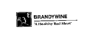 BRANDYWINE 