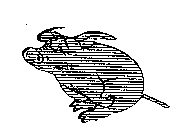 Image for trademark with serial number 75218546