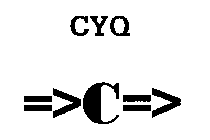 CYQ C