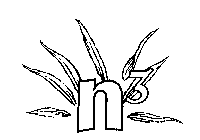 N3
