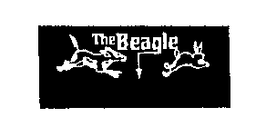 THE BEAGLE