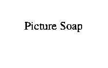 PICTURE SOAP