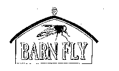 BARN FLY