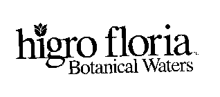 HIGRO FLORIA BOTANICAL WATERS
