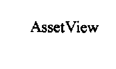 ASSETVIEW